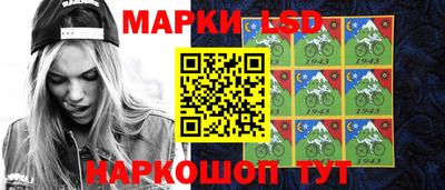 шишки Абакан