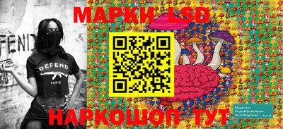 шишки Абакан