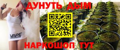 шишки Абакан