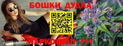 шишки Абакан