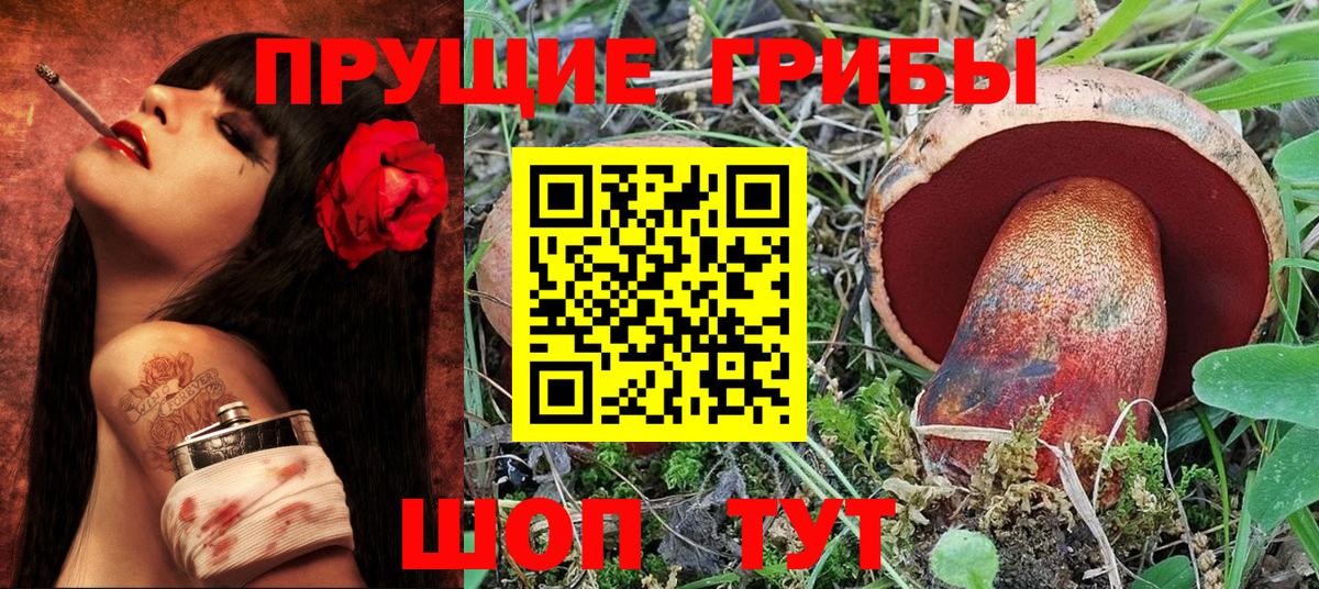 Алушта  Галлюциногенные грибы GOLDEN TEACHER  Вход с VPN 
