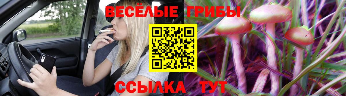 Псилоцибиновые грибы Magic Shrooms Алушта